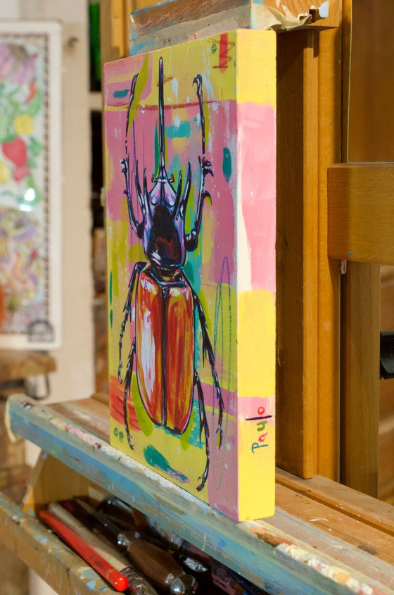 Five horned rhino beetle