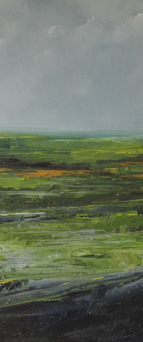 Peatland by John Halliday