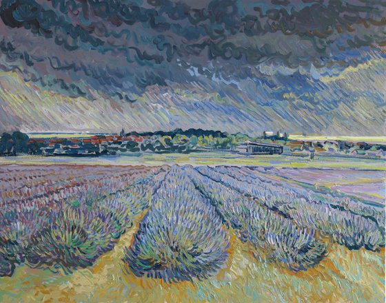Lavender field Norfolk