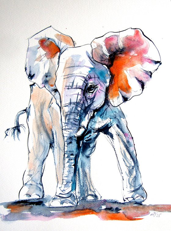 Elephant baby