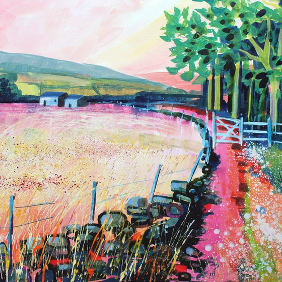 Two Barns in the Dales