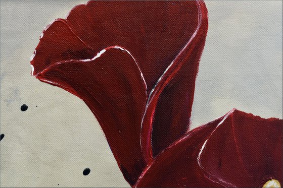 Velvet Bloom