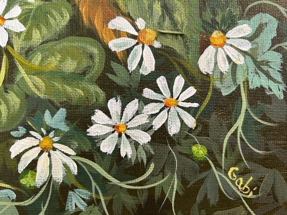 Daisies of the Forest