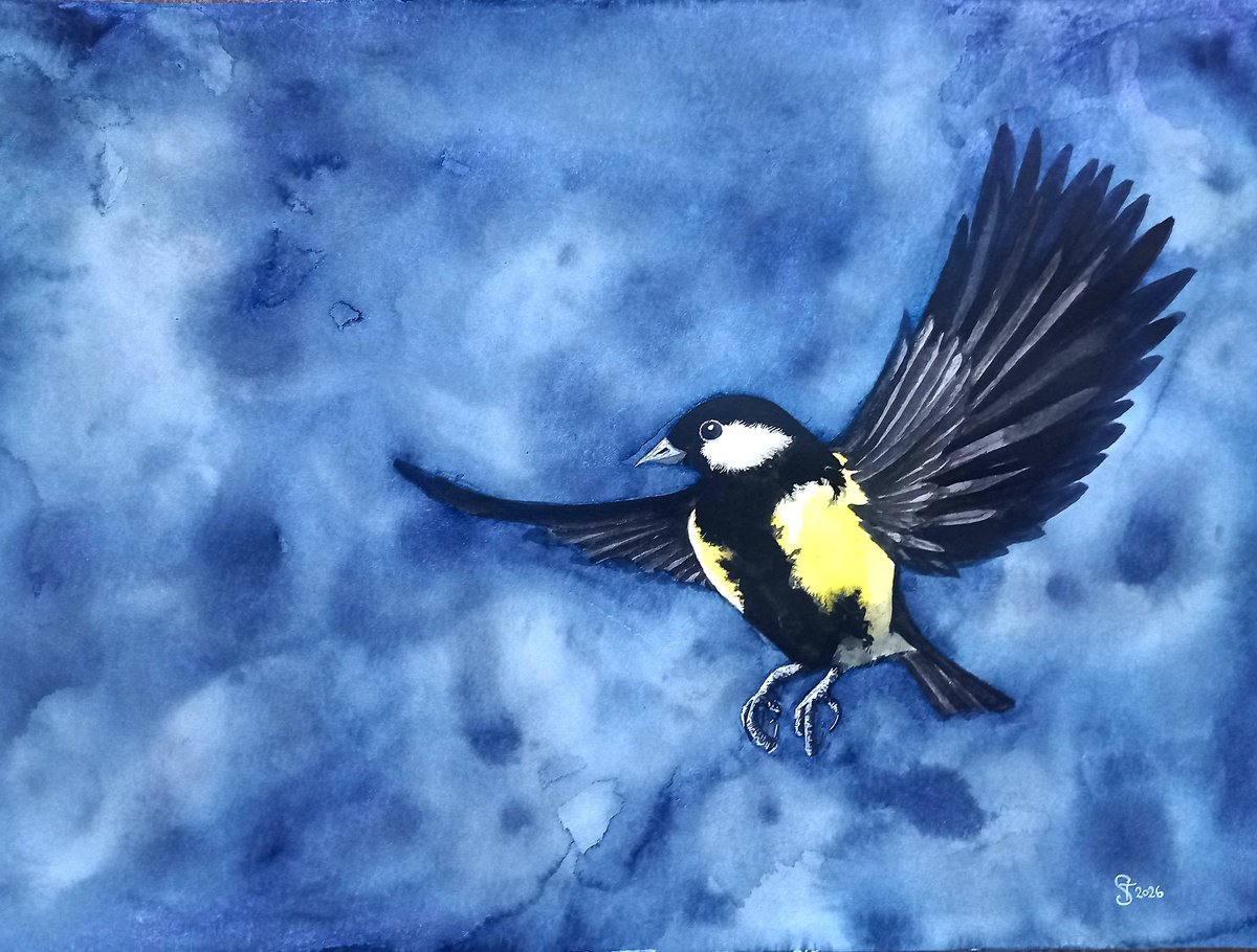 Painting , Buoyancy By Terri Smith, 20 X 16, Artwork For Sale On Artfinder