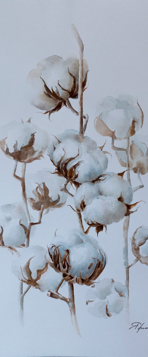 Cotton flowers 3 by Yafit Moshensky