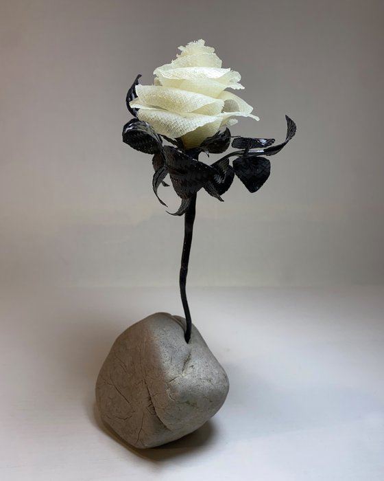 Perseverance finds a way