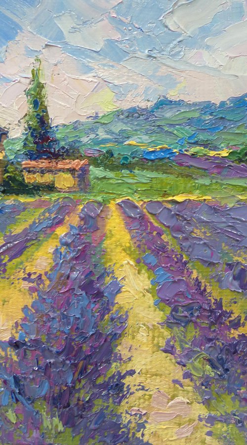 Lavender in Tuscany. by Natalia Kakhtiurina