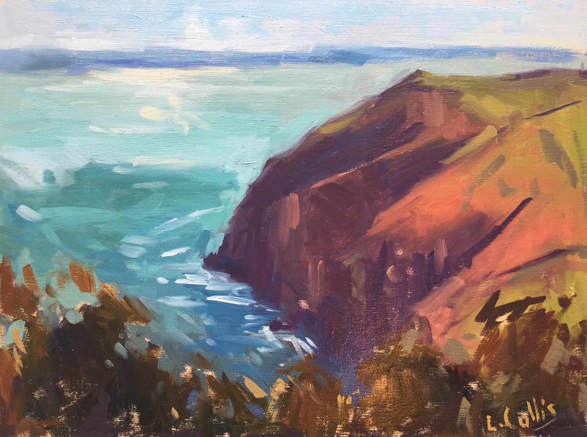 Cliffs above Heddon Valley by Louise Collis