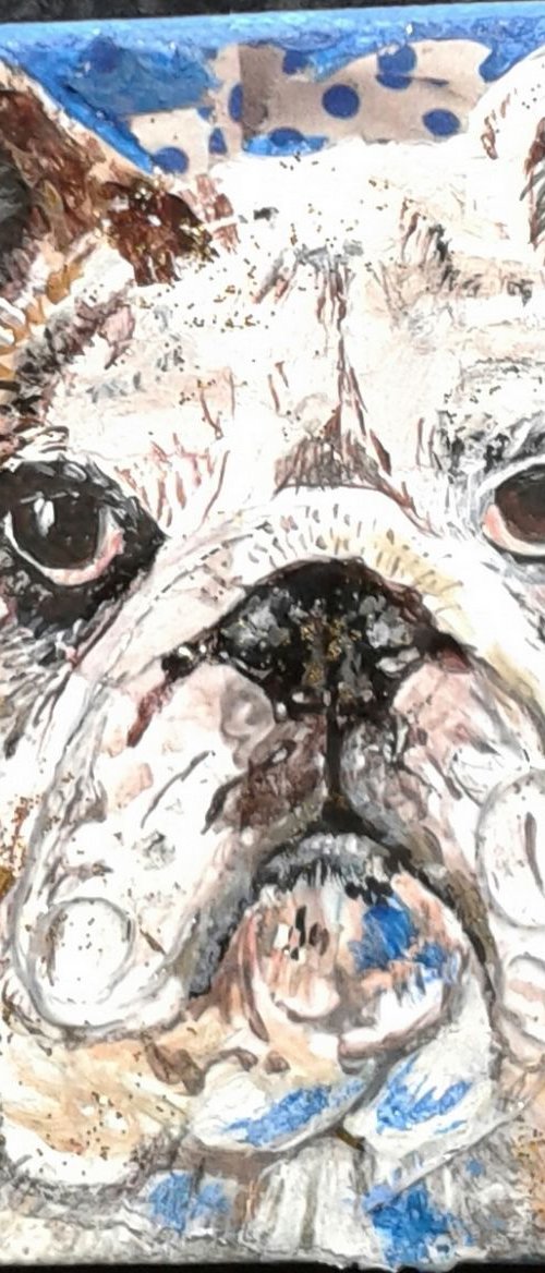 Bulldog by Fiona Plaisted