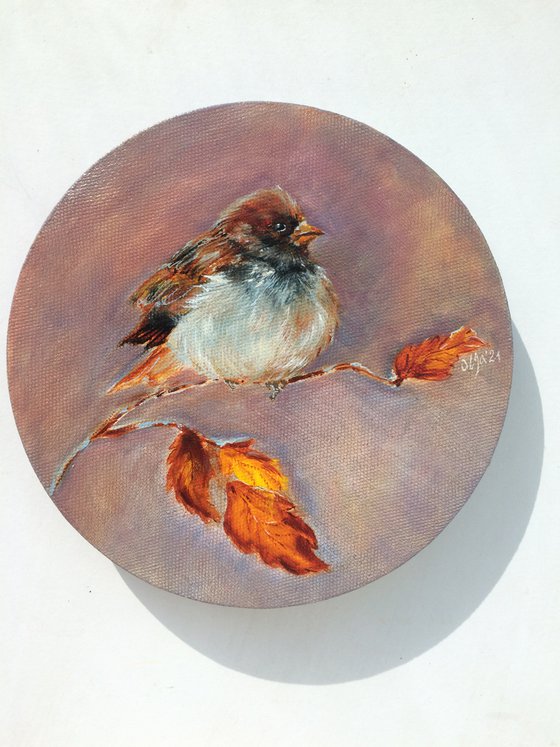 Bird oil painting - Sparrow original wall art - Small round canvas - Gift idea for bird lover (2021)