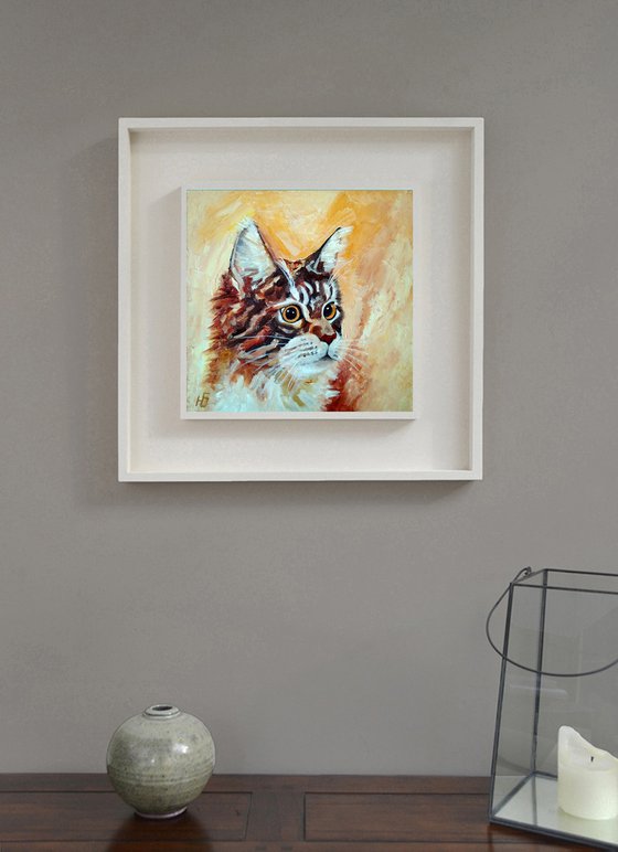 Cat Maine Coon Portrait