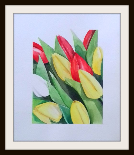 Mixed Tulips