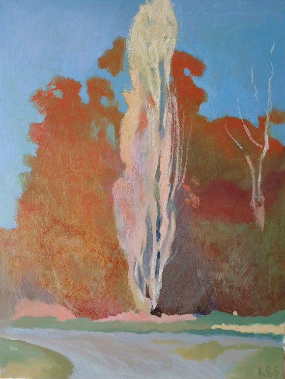 Poplar