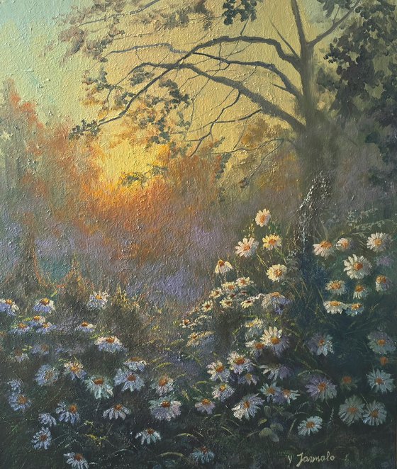 Daisy Reverie