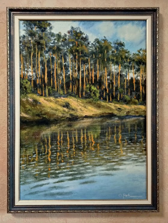 Pine trees by the river 2