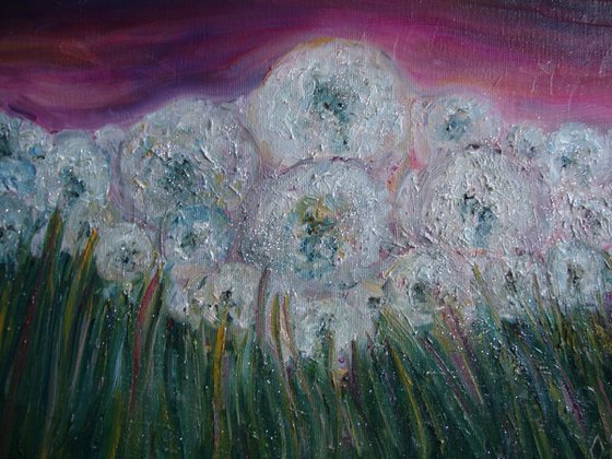 Field of dandelions
