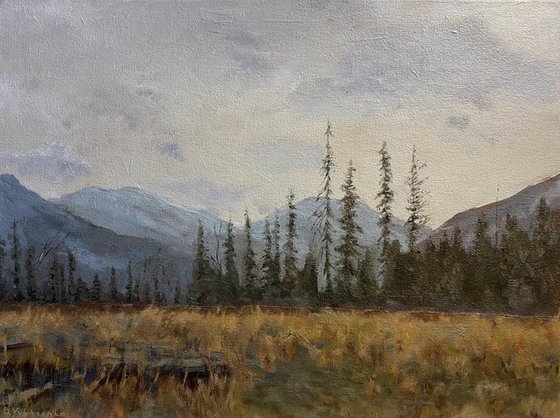 Foggy mountains