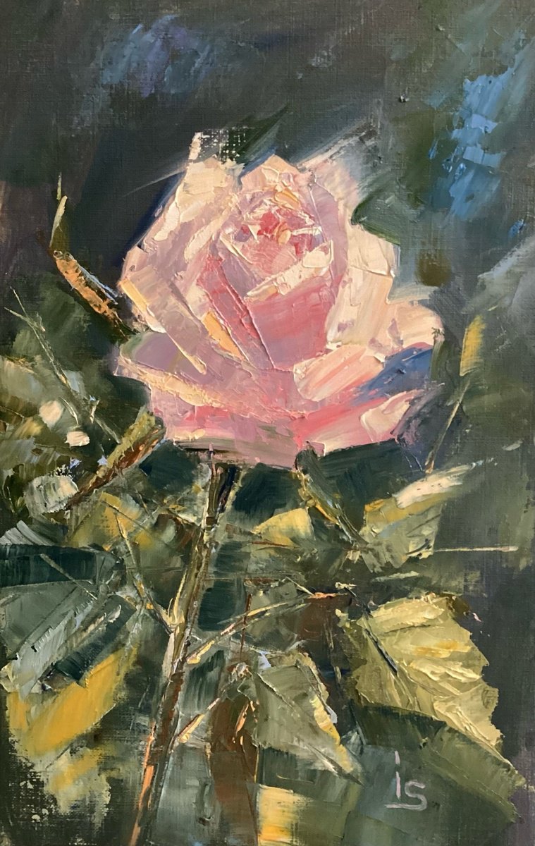 The Pink Rose 1 by Irina Sergeyeva