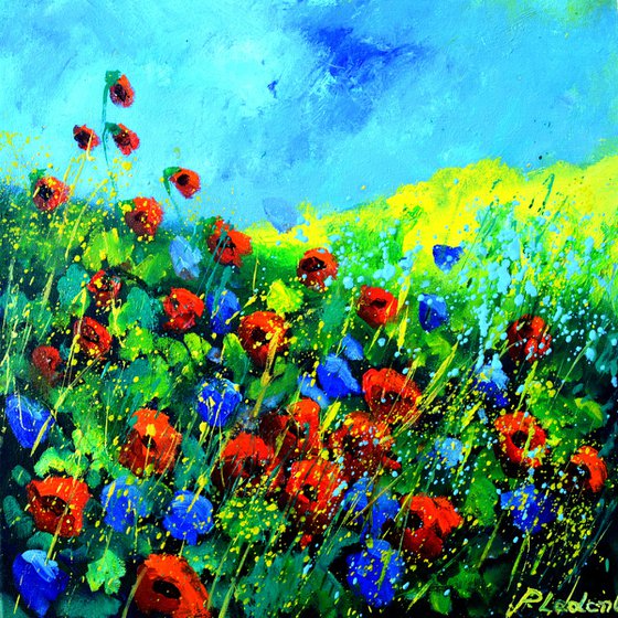 Flowers in Provence 44