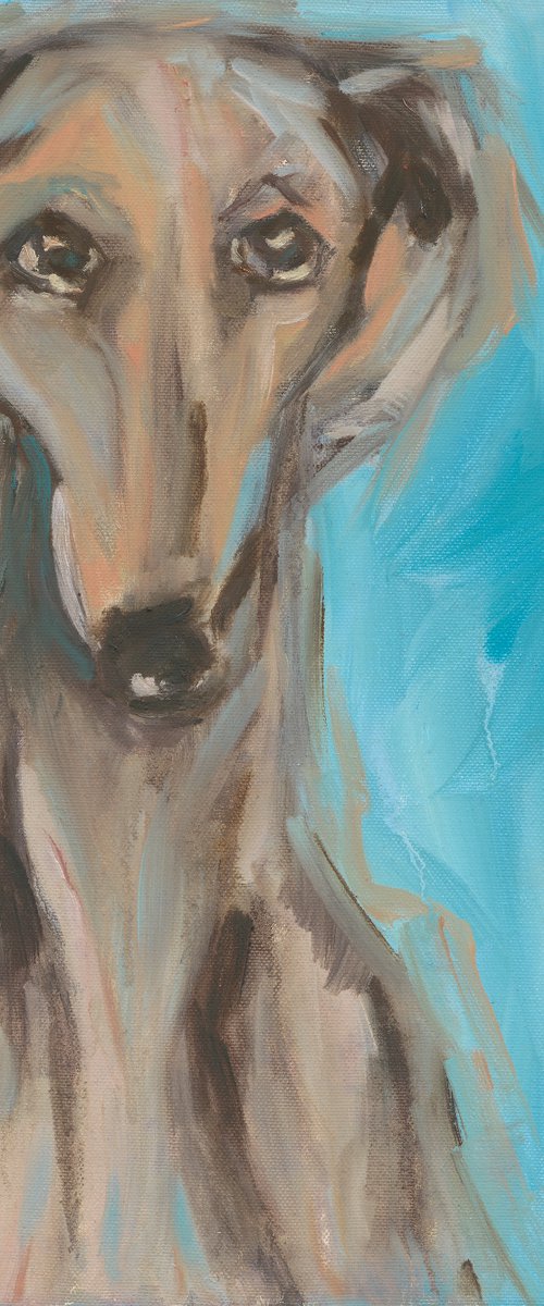 Portrait of a cute dog Saluki - the Persian Greyhound by Anna Miklashevich