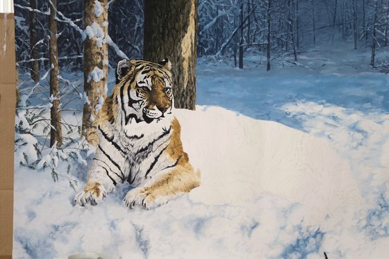 Siberian Tiger