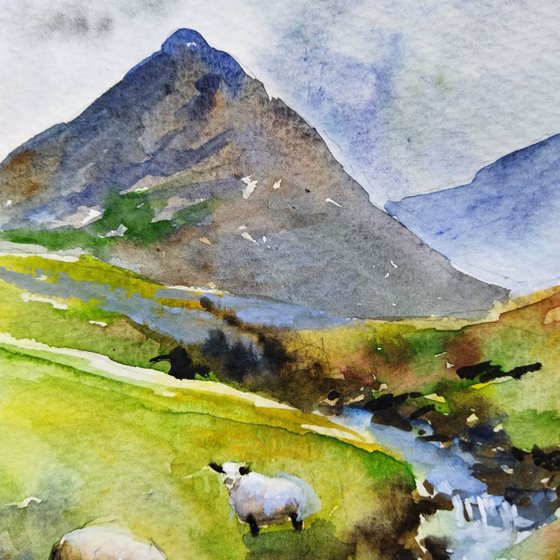 Scottish landscape with sheep