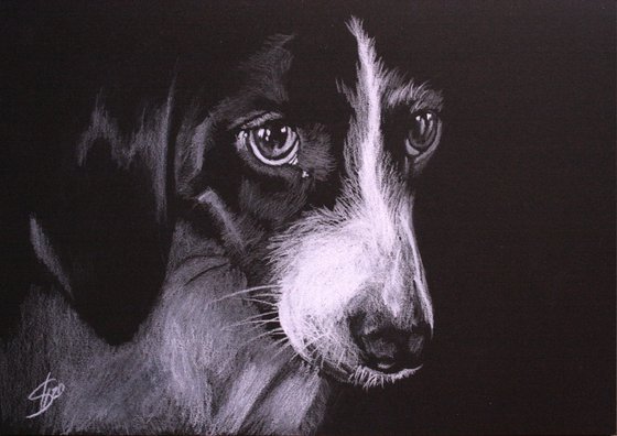 Portrait of dog 2 /  ORIGINAL PAINTING