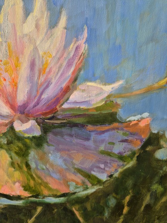 Water lily pond