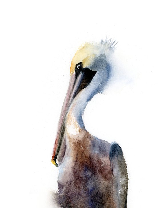 Brown Pelican  -  Original Watercolor Painting