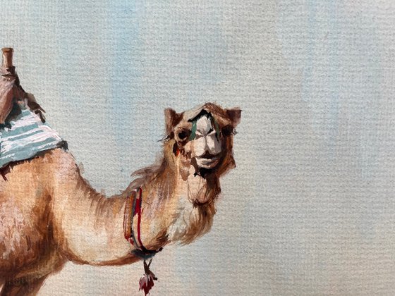 "Golden Sands Companion"