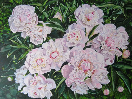 Sunlit Peony Summer Painting