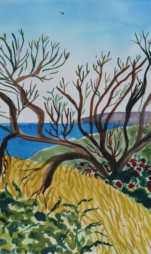 Swifts over Bahia las Rocas by Kirsty Wain