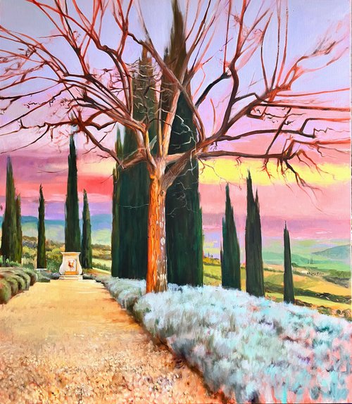 Montalcino 1 by John Welsh