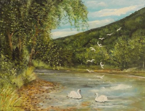 Gulls at 12 0 clock by James Lancaster