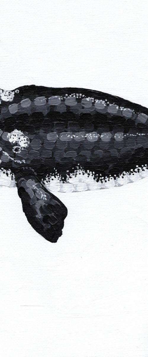 Right Whale by Kelsey Emblow