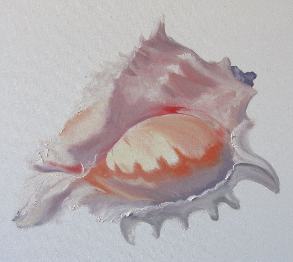 Seashell by Valeriia Radziievska