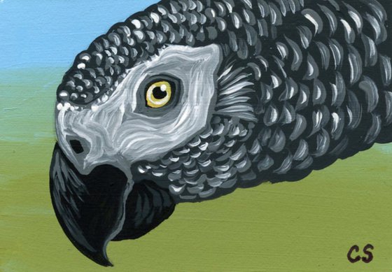 ACEO ATC Original Miniature Painting African Grey Parrot Pet Bird Art-Carla Smale