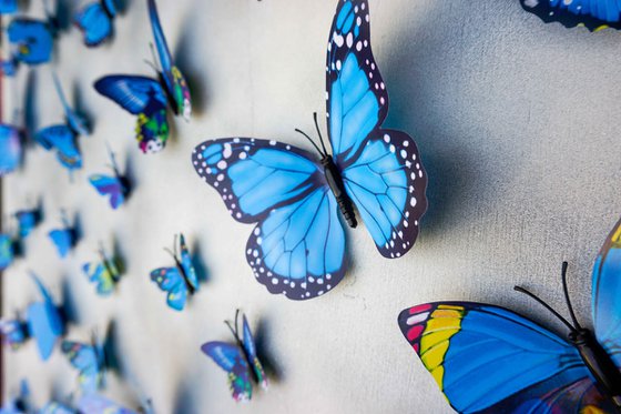 Wall Sculpture Butterfly Park 3