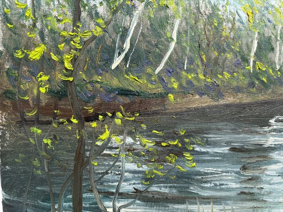Birch trees on the lake