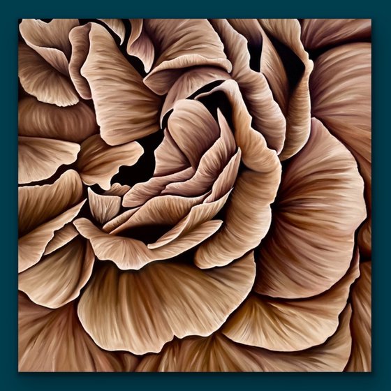 Rose petals