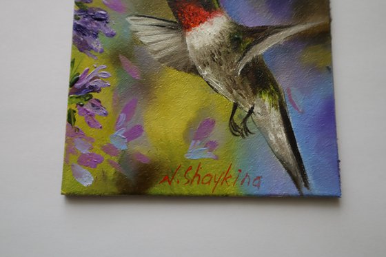 Hummingbird