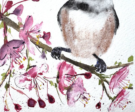 Black-capped chickadee Blossom