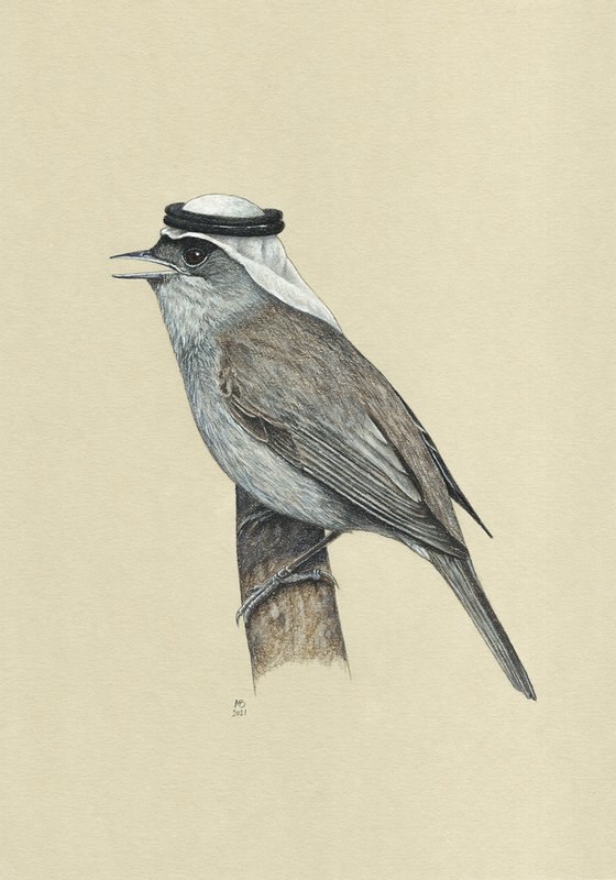 Original pastel drawing bird "Eurasian blackcap"