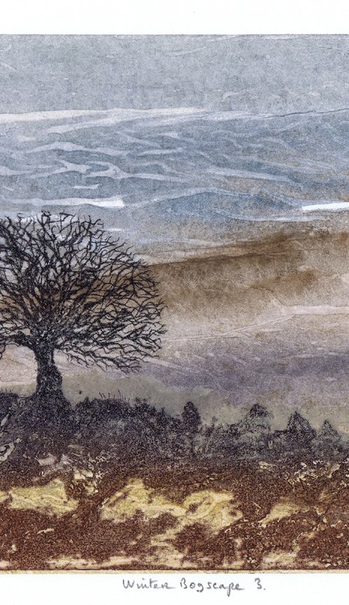 Winter Bogscape 3 -  Ireland by Aidan Flanagan Irish Landscapes