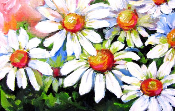 Daisies