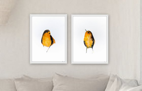 Birds, set of 2