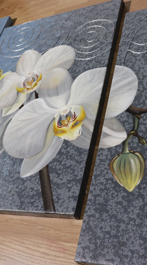 WHITE ORCHIDS  acrylic painting on canvas, 3 piece set by ZUZANA Murenji Domonkos