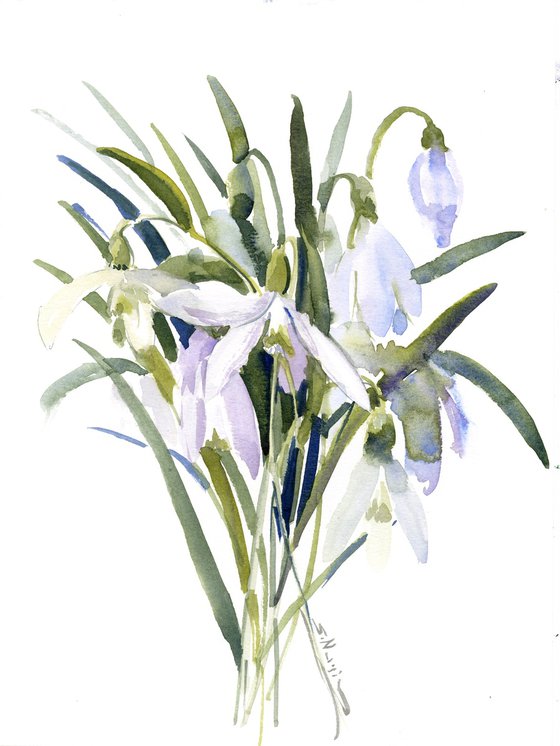 Snowdrop watercolor flowers