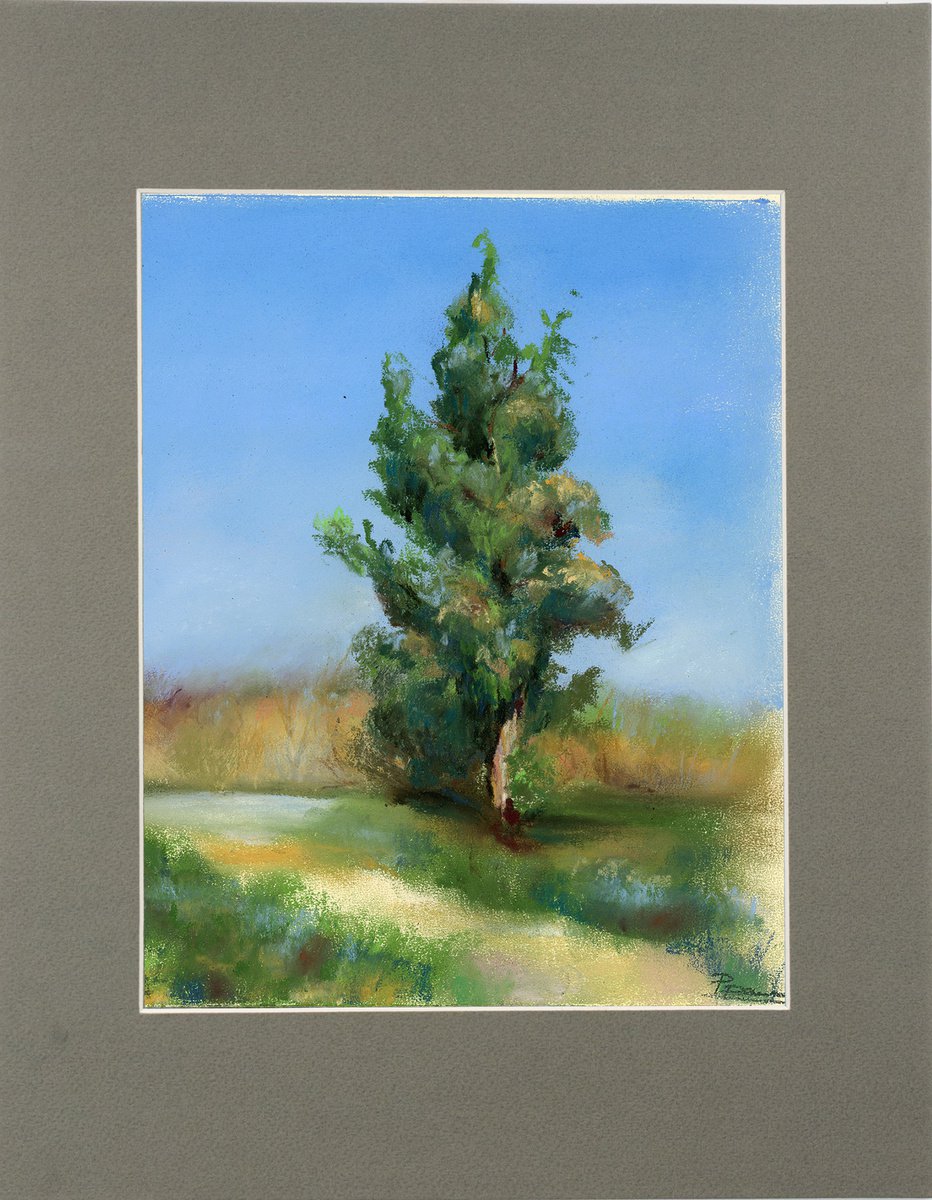 Impressionistic Pastel Drawing , Cypress Tree By Olga Tchefranov (Shefranov), 11 X 14, Artwork For Sale On Artfinder