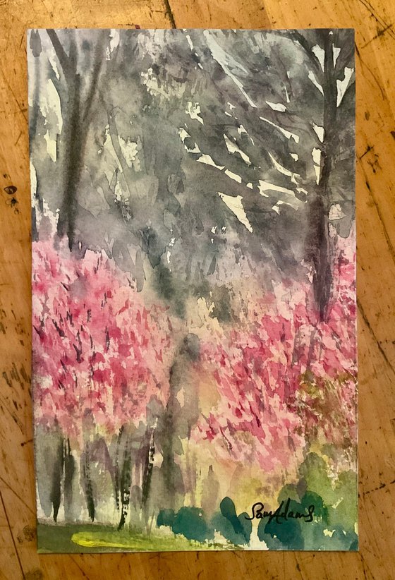 Blossoms and Winter trees